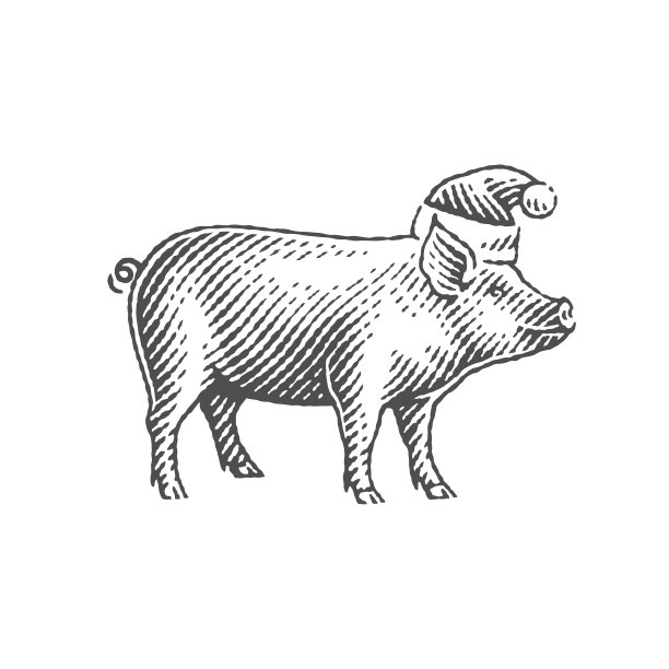 新年生肖猪。图片下载