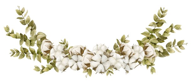 水彩插图与棉花花球和绿色桉树树枝孤立的背景。手绘花卉组成贺卡或婚礼邀请在柔和的白色图片下载