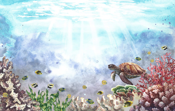 海底世界。手绘水彩画。用于标签，名片和横幅，传单和小册子的背景图片下载