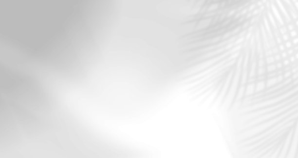 现实模糊的自然光线树叶，手掌和窗户阴影覆盖在墙纸或框架纹理上，抽象的背景，夏季，春季，秋季用于产品展示平台和实物模型。图片下载