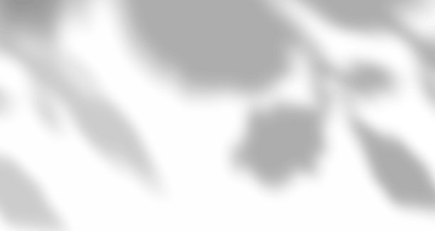 现实模糊的自然光线树叶，手掌和窗户阴影覆盖在墙纸或框架纹理上，抽象的背景，夏季，春季，秋季用于产品展示平台和实物模型。图片下载