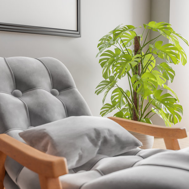 房间背景与沙发和空白框架图片下载