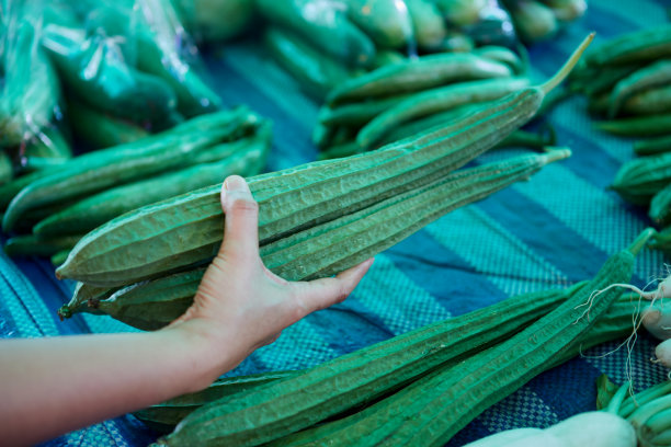 手工选择市场上新鲜的有机方形西葫芦或角丝瓜图片下载