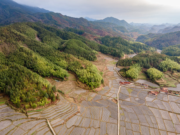 山上一片农田的鸟瞰图图片下载