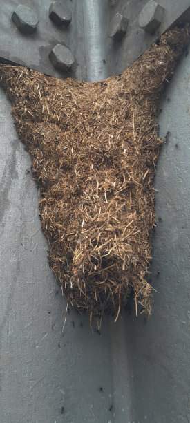 巨大的人群密集的地方图片下载