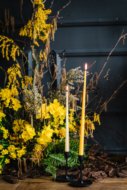 装饰用蜡烛，黄色花朵含羞草，水仙，干植物，树皮。复活节区以质朴的设计，春天的树枝，黑色的墙壁。拱门秋季花卉的照片会议。生日派对细节。图片下载