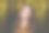 美丽的女人名人在金色散景背景上化妆图片下载