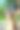 公园里小鹿的照片。野生动物。大自然中的鹿。背景是绿色的草地和森林。图片下载