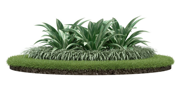 现实的草地讲台与花园。图片下载