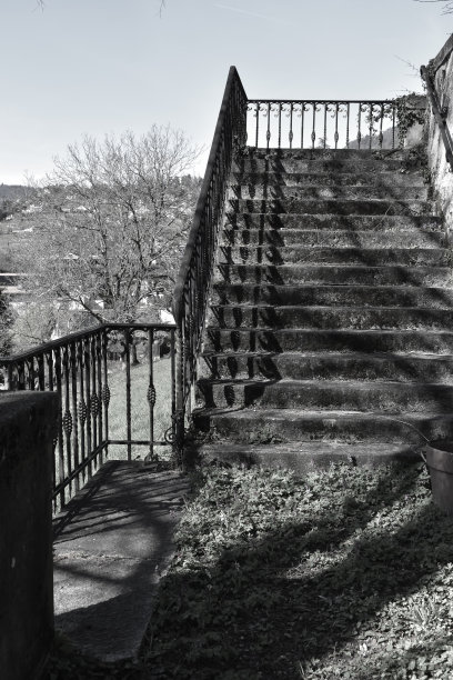 一个楼梯在一个凌乱的花园形象图片下载