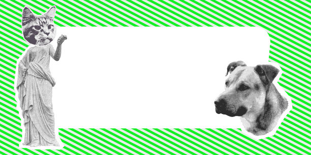 当代数字拼贴艺术。现代的迷幻设计。有趣的宠物狗和猫图片下载