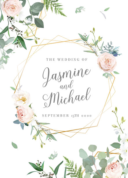 花桉树选择矢量框架。手绘的树枝，粉红色的玫瑰花，白色背景的叶子图片下载