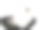 小白兔图片下载