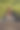女商人戴着老花镜思考图片下载