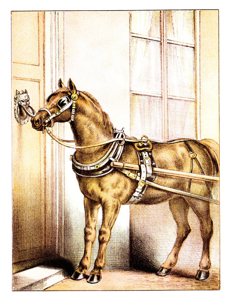 马训练敲门与门环，彩色图像图片下载