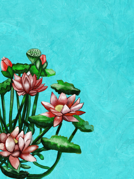 荷花插图，红白色的花，树枝和叶子。绿松石，纹理背景与复制空间。图片下载