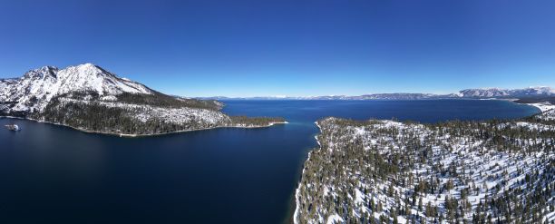 海洋的全景照片被覆盖在雪中的绿色植物包围图片下载