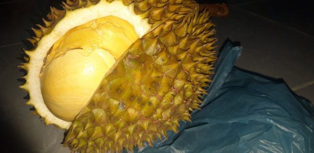 美味的小籽榴莲，厚黄色的果肉图片下载