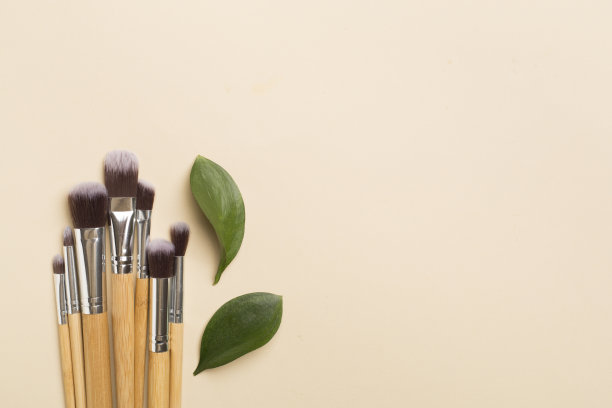 天然可生物降解化妆刷的颜色背景，俯视图图片下载