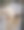 狗站在牢房栅栏后面图片下载