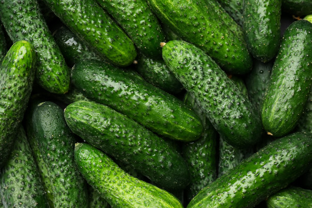 新鲜的整个成熟黄瓜为背景，俯视图图片下载