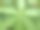 早晨露水粘在树叶上的自然照片图片下载