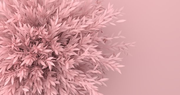 不显眼的植物背景与影子在墙上-时髦的封面，明信片。一个展示的浅色粉彩背景的高级产品-3D渲染。图片下载