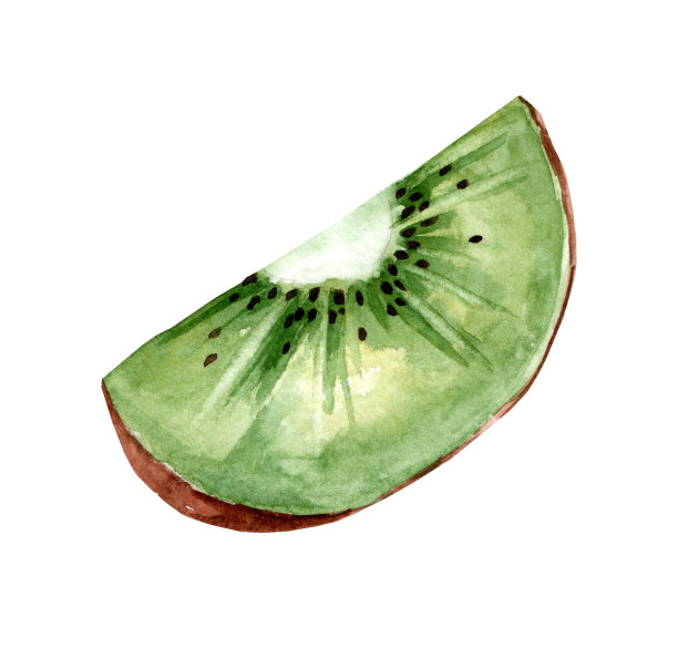 新鲜猕猴桃。水彩插图图片下载