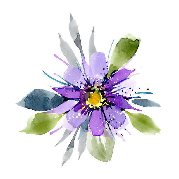 丁香，紫色，紫色水彩花在白色的背景图片下载