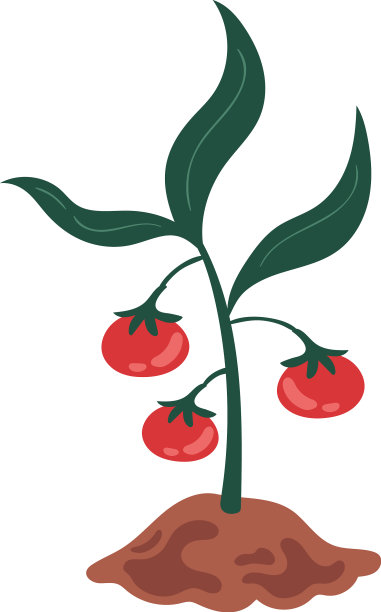 番茄种植农场图片下载
