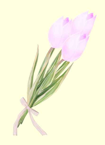 可爱的粉色郁金香插图图片下载