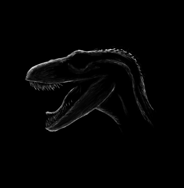 猛禽深色插图，生物设计图片下载