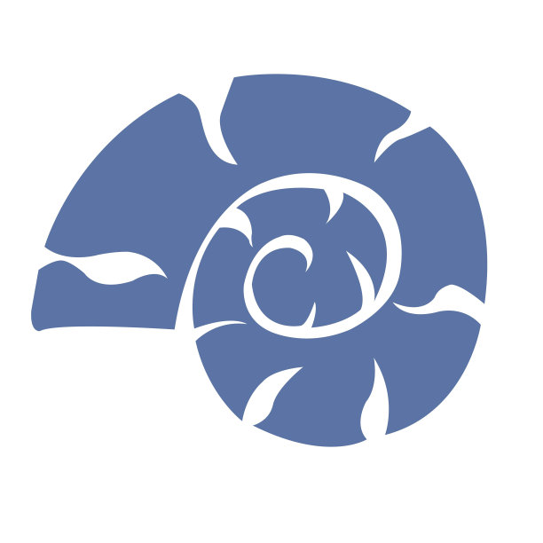 贝壳插画，用于装饰海洋生物，暑假和海岸概念。图片下载