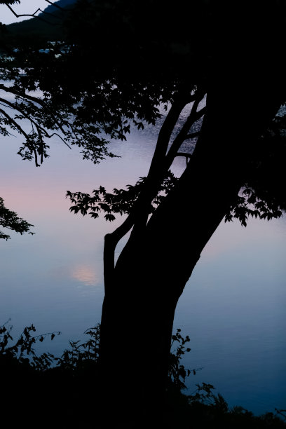 在日本群马县的神奇时刻，剪影般的日落黄昏图片下载