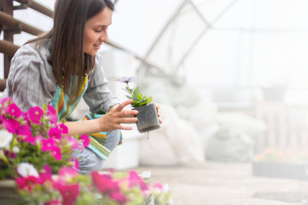 在温室工作的花匠在盒子里种植有花瓣叶子的花卉植物图片下载