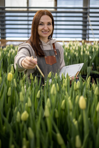 肖像快乐的女园丁摆造型温室周围新鲜生长的黄色郁金香图片下载