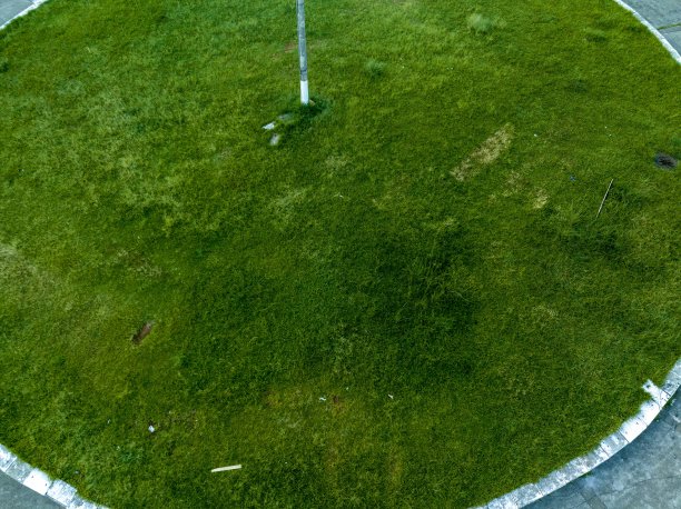 查尔斯米勒方格图片下载