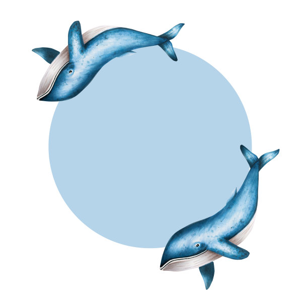 水彩框架与蓝鲸孤立的白色背景。手绘现实的北极和南极海洋哺乳动物。为设计师，装饰，明信片，包装纸，剪贴簿，封面，标志，邀请，海报和纺织品图片下载