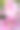 粉红色的百合花的特写图片下载