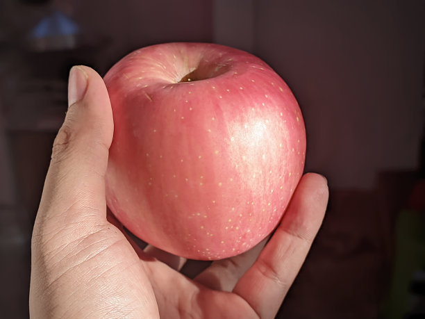 用手捧着一个大红苹果，有自然的阳光照射图片下载