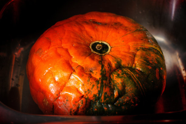 一个腐烂的橙色南瓜躺在厨房的水槽里，背景是黑色的图片下载