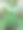 叶宽的绿芋头生长在东南亚的热带种植园图片下载