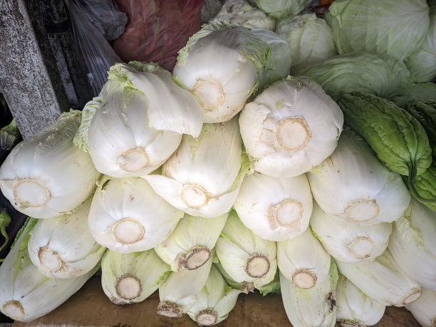 印度尼西亚邦加岛传统市场上出售的一堆菊苣，这种蔬菜含有大量健康的膳食纤维图片下载