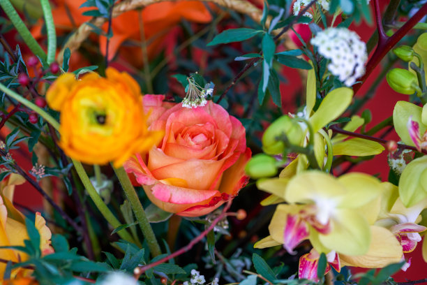美丽华丽的艺术插花特写图片下载
