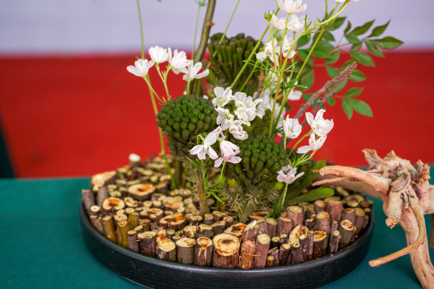 美丽华丽的艺术插花特写图片下载