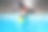 杰克罗素梗在游泳池的有趣照片图片下载