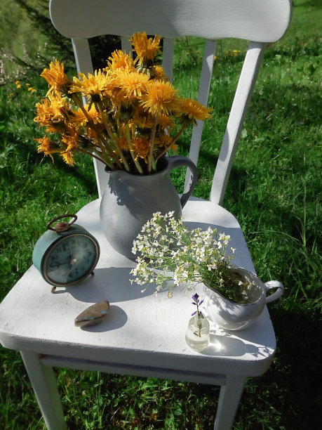 园林花卉静物构图图片下载