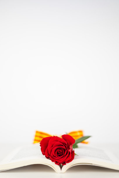 为Diada de Sant Jordi打开一本书，画上红玫瑰和麦穗。图片下载