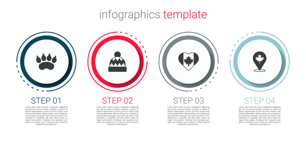 设置熊掌印，豆豆帽，心形加拿大国旗和加拿大枫叶。业务信息图模板。向量图片下载