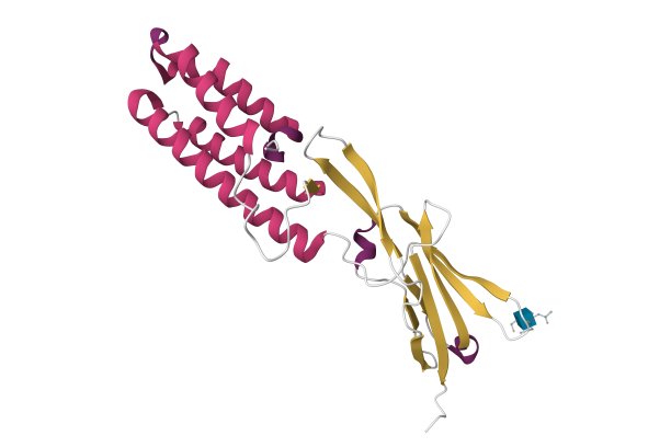 人类精子膜蛋白IZUMO1的晶体结构图片下载